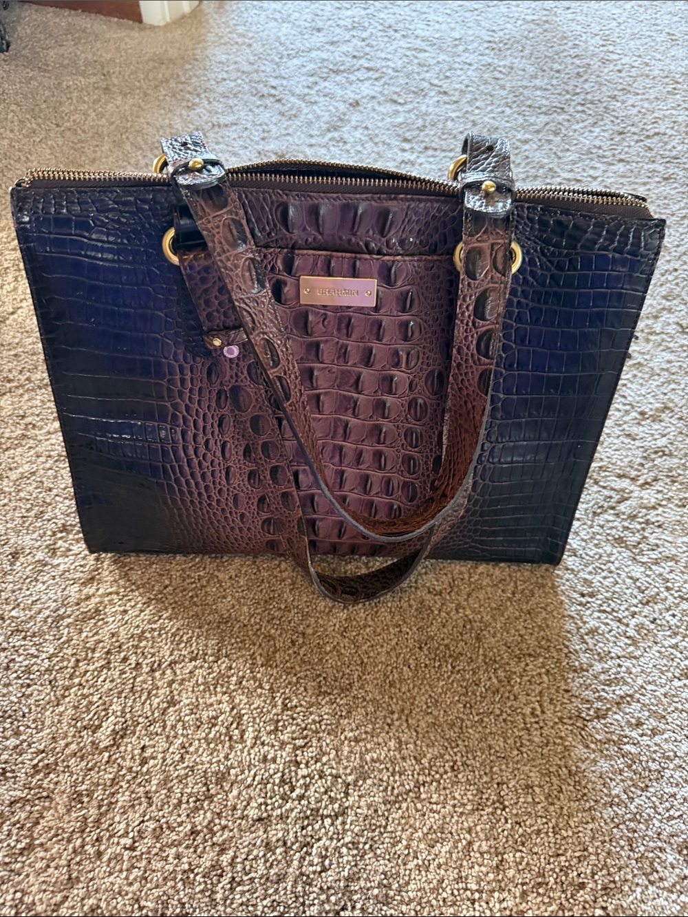 Brahmin Croc-Embossed Tote in Brown and Black